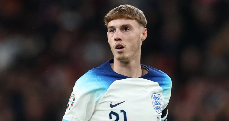 国王教练组 国王教练组