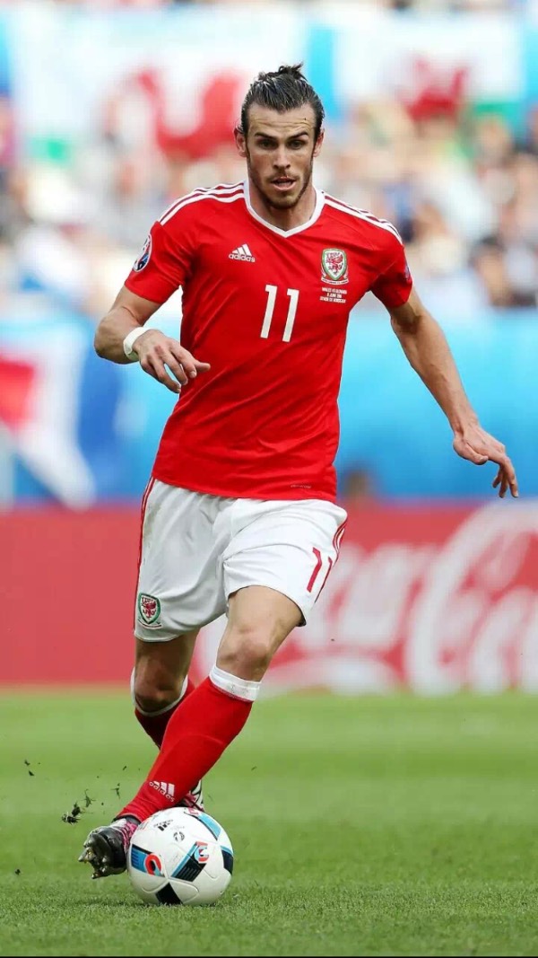 灰熊三杀太 灰熊三杀太