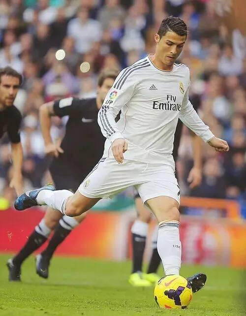 一键自排除 一键自排除